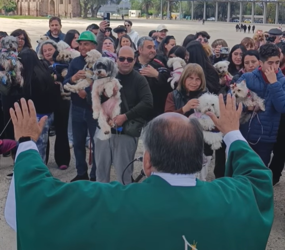 Bendición de mascotas y motociclistas se realizó este fin de semana en el Templo Votivo de Maipú 7 Bendición de mascotas en el Templo Votivo