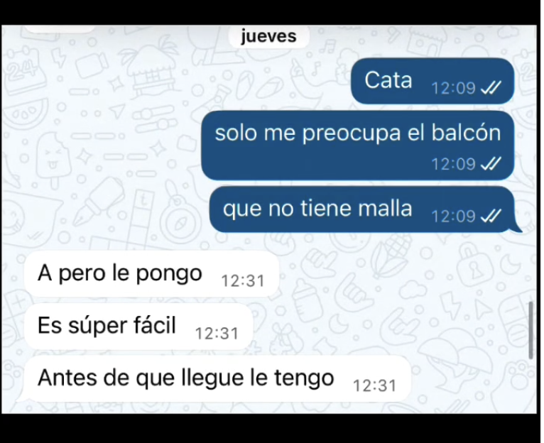 Perrita rescatada de campamento murió tras caer del balcón de su nueva casa: adoptante no cumplió con poner malla de seguridad 2 caso melek