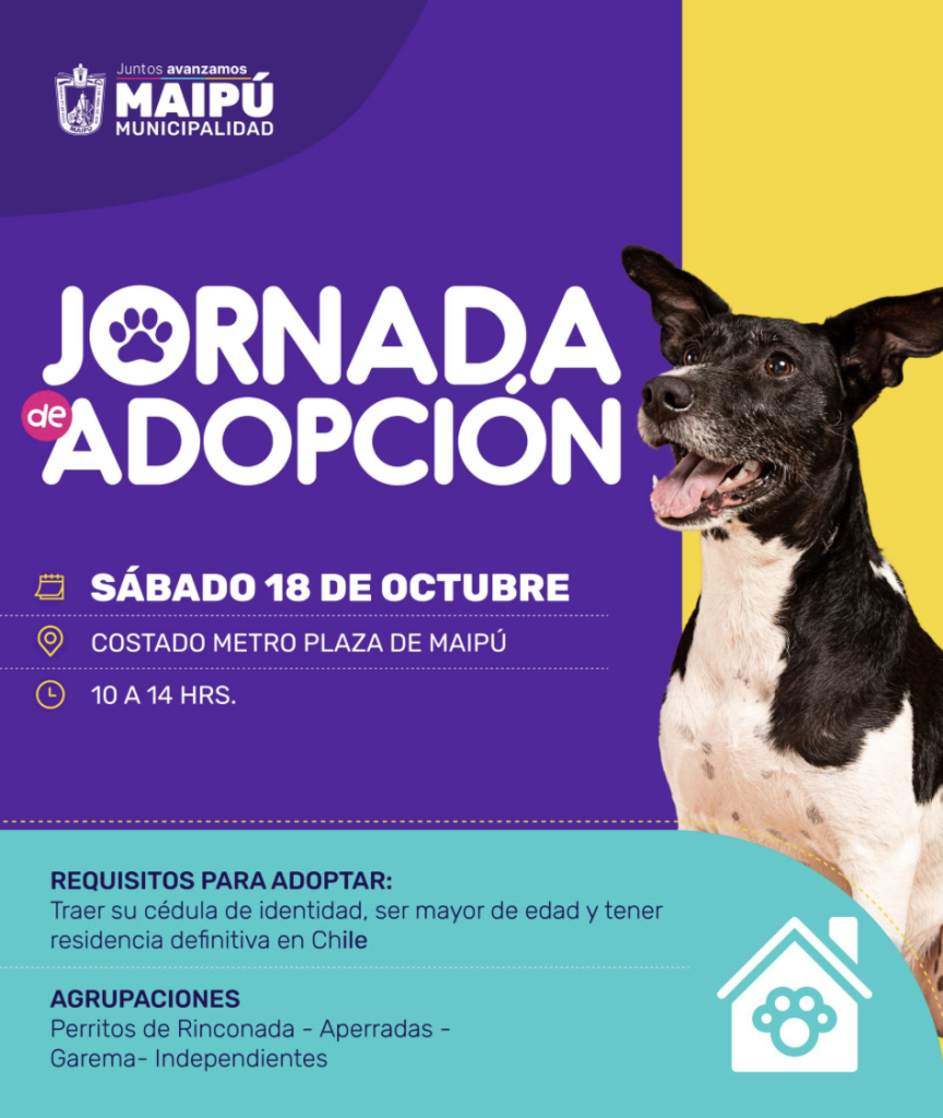 Jornada de adopción en Maipú: dale una nueva oportunidad de vida a perros y gatos rescatados 2 Captura de pantalla 2025 10 18 a las 9.33.16 a.m