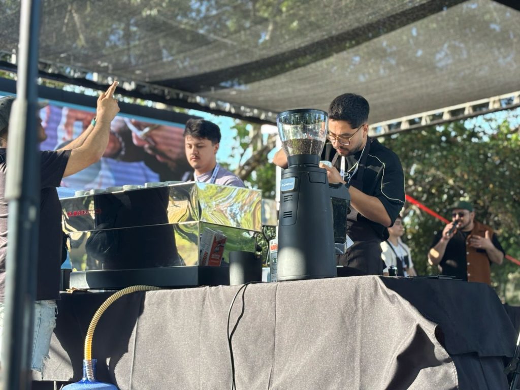 maipu cafetero 2025