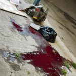 No era sangre: ¿qué era el líquido que rodeaba bolsas de basura y que generó alarma en caletera Vespucio? 1 bolsa con sangre