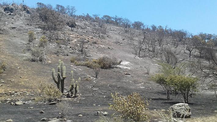 Santuario Quebrada de la Plata