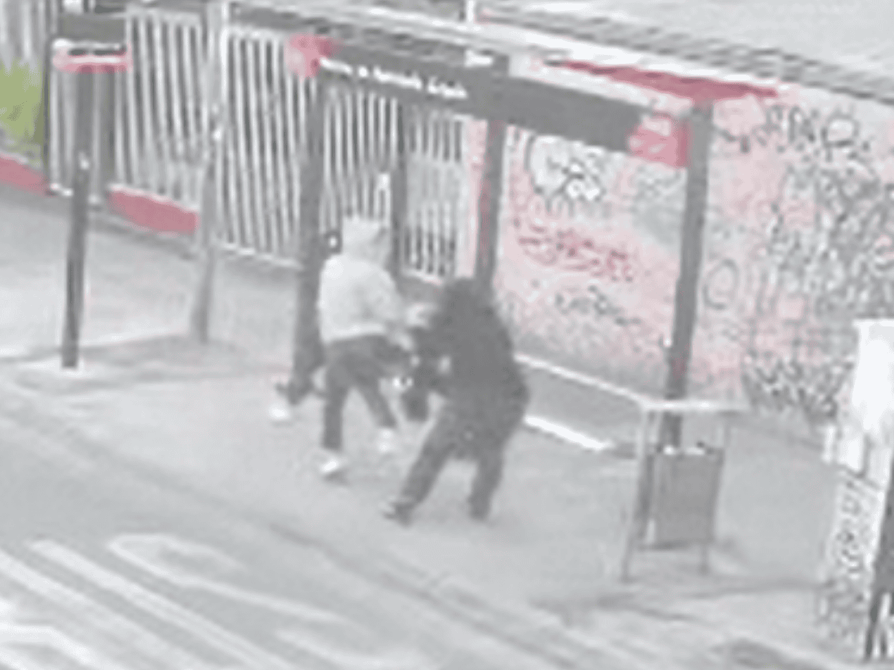 [VIDEO] Violento asalto en paradero: vecina forcejeó con delincuentes y la patearon para que soltara sus pertenencias