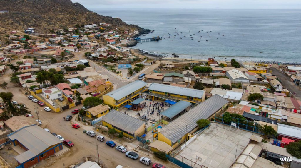 “Aprender para proteger”: Ministerio del Medio Ambiente y FAO lanzan guía que refuerza educación ambiental en colegios poniendo en el centro al mar 4 Lanzamiento nacional Guía Aprender para Proteger en Caleta Los Hornos.