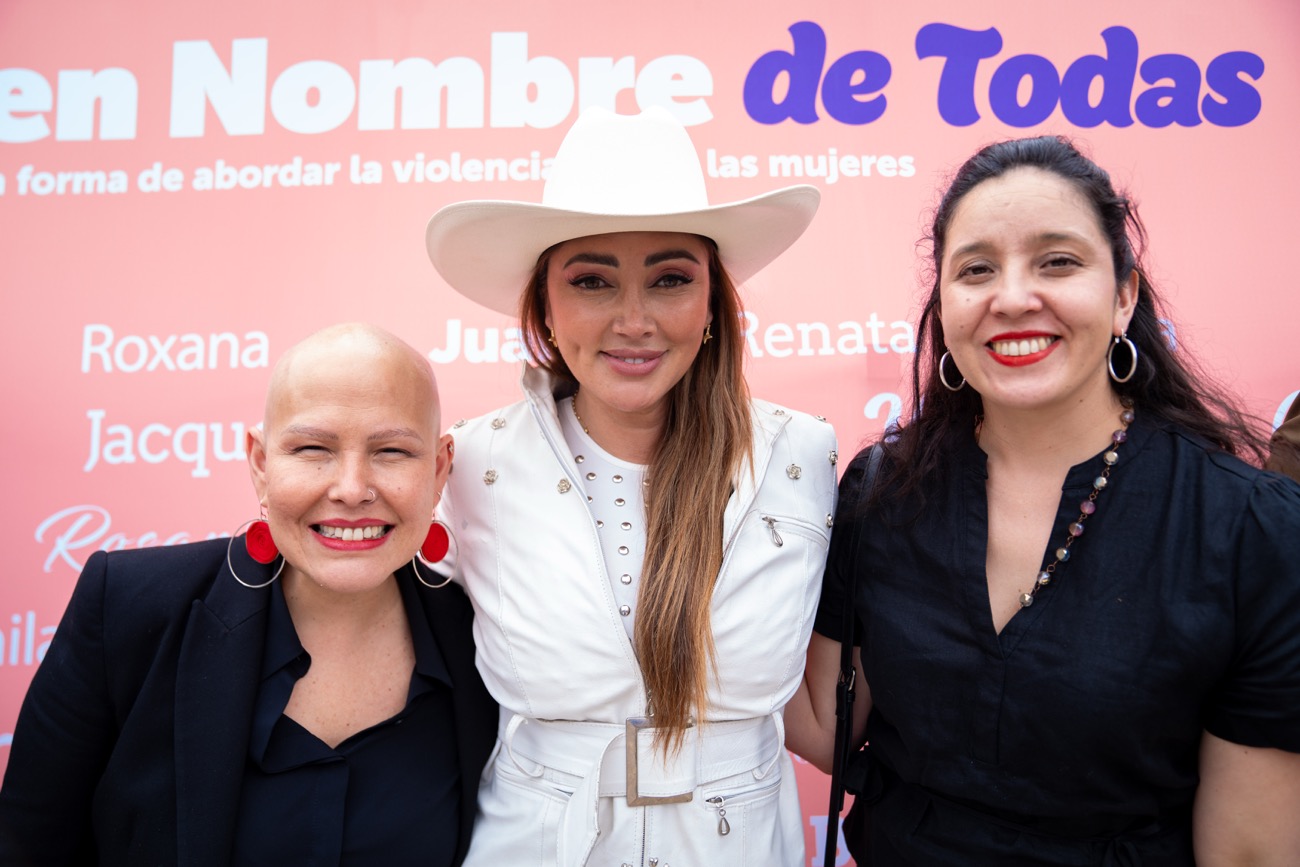 Desde Maipú, Ministra Orellana encabeza conmemoración del Día contra la Violencia hacia la Mujer y destaca avances de la "Ley Integral" 20 DSC08748