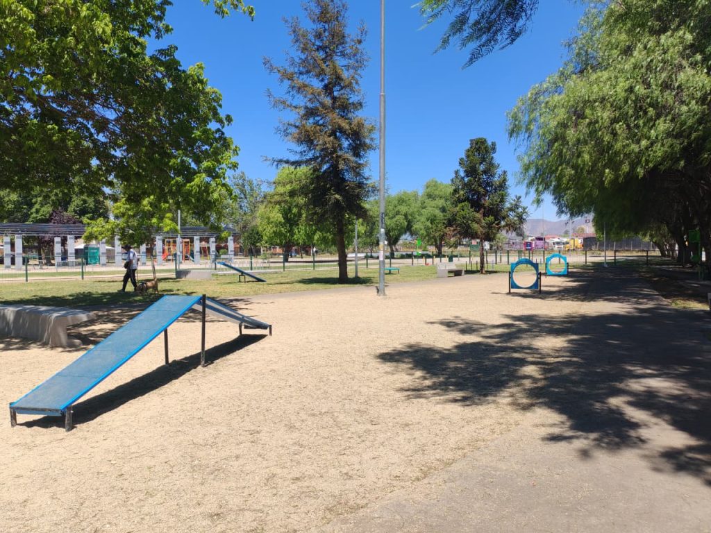 Muerte de perrita en nuevo parque canino de Maipú: mascota atacante "tipo bull" no contaba con arnés ni bozal 4 Parque Recreativo Canino Tres Poniente Maipú.
