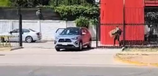 Violento asalto a tienda de tecnología en Maipú: un trabajador herido y 5 millones de pesos en especies sustraídas 3 WhatsApp Image 2025 11 24 at 8.19.51 PM 753x1024 1