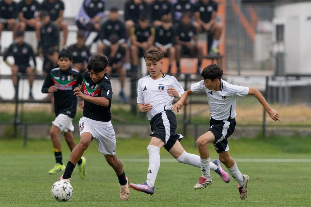 Palestino sub 12 campeón con tres maipucinos