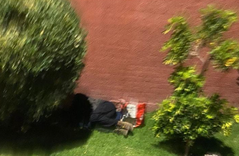 persona en situación de calle protagoniza hechos de vandalismo