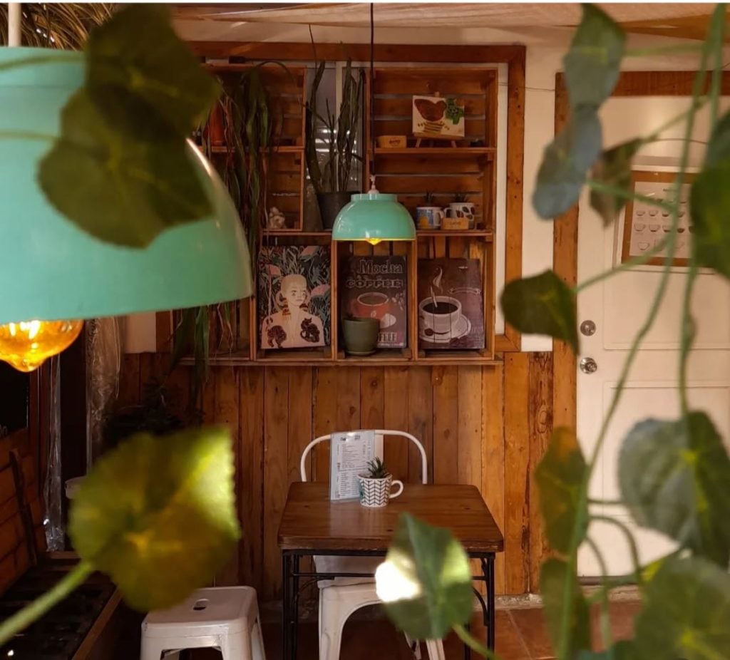 Tu suscripción se paga sola: La Voz de Maipú estrena masiva red de descuentos en bares, restaurantes y cafeterías de especialidad 33 Café Amadeira
