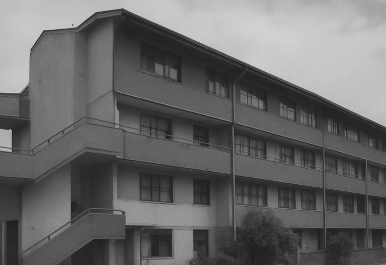 cuatro alamos