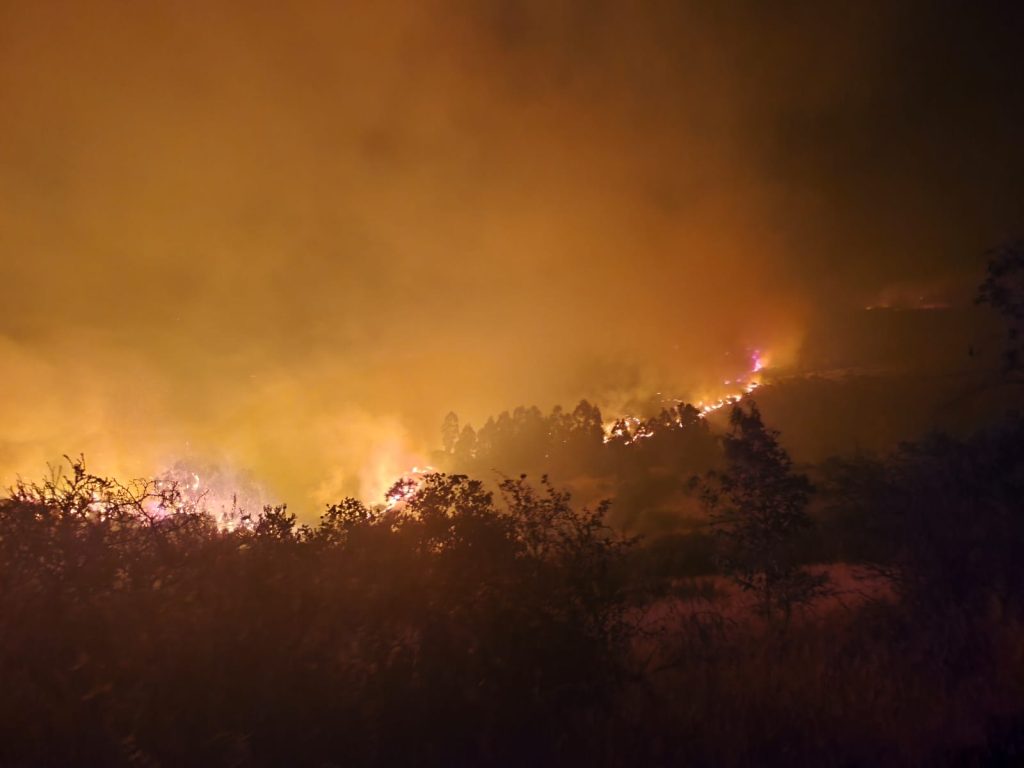 Despliegue de Bomberos de Maipú en incendio forestal de San Pedro de Melipilla: más de 20 voluntarios y carros aljibe 4 cuerpo de bomberos de maipú en incendio forestal