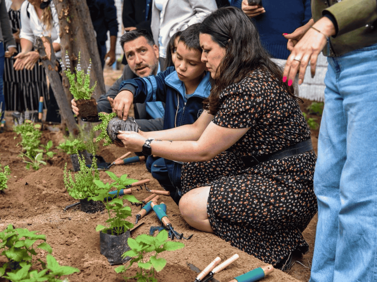 Eco-Junaeb llega a Maipú con la recuperación de un huerto en la Escuela Básica San Luis