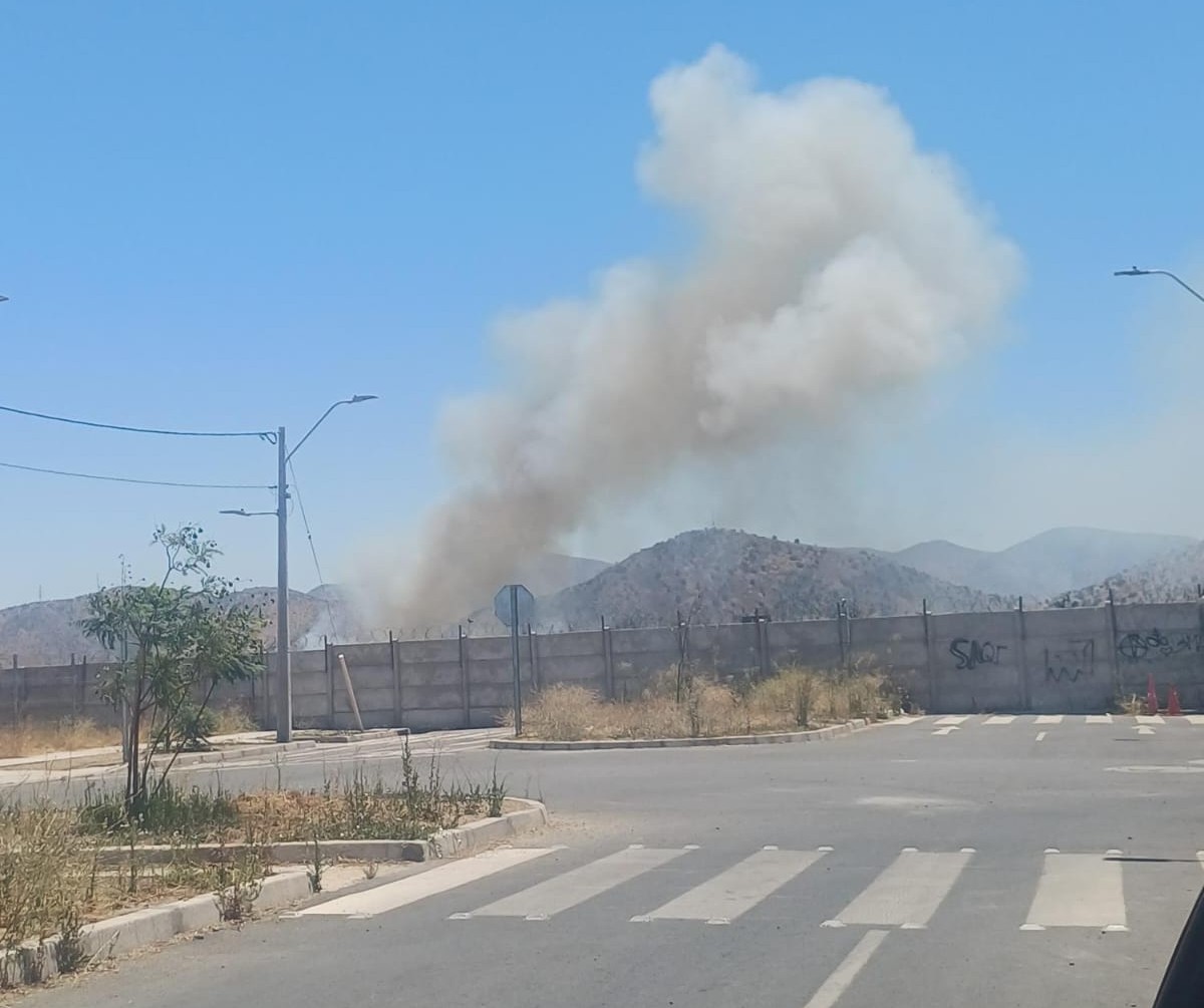 [Ahora] Bomberos trabaja en incendio de pastizales en cercanías a la Autopista Del Sol