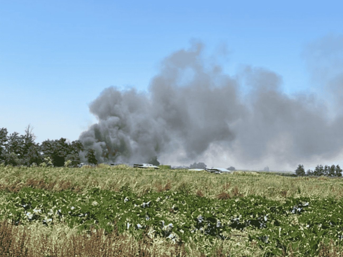 [AHORA] Incendio de pastizales en Pueblito La Farfana: bomberos trabajan en el lugar
