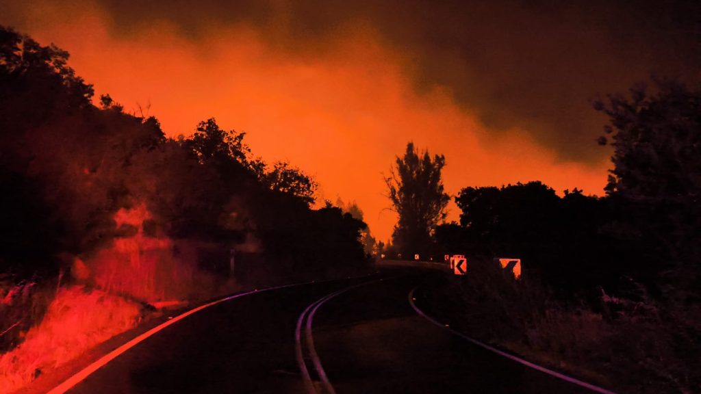 Despliegue de Bomberos de Maipú en incendio forestal de San Pedro de Melipilla: más de 20 voluntarios y carros aljibe 1 cuerpo de bomberos de maipú en incendio forestal