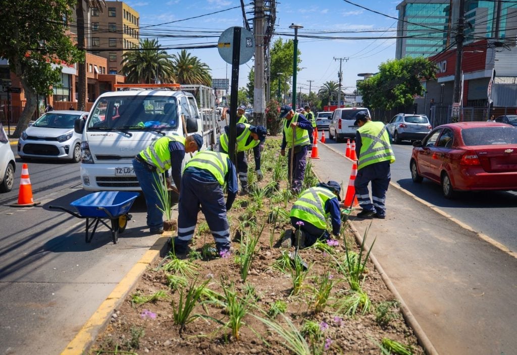Municipalidad de Maipú invierte más de $30 mil millones en 2025 para recuperar y fortalecer el espacio público 1 inversion area verde