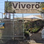 El imperio verde de Maipú: La historia del vivero "Mis tesoros" 1 Entrada Vivero Mis Tesoros