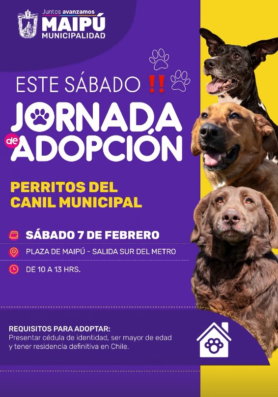¿Buscas un nuevo integrante para la familia? Jornada de adopción en la Plaza de Maipú 1 Jornada de adopción