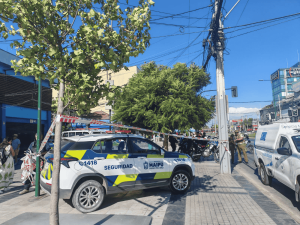 cuerpo hallado en pileta plaza de Maipú