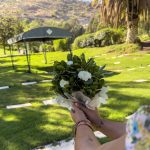 Cementerio El Manantial regalará flores este sábado por el Día del Amor: habrá misa y feria de emprendedores 1 flores cementerio
