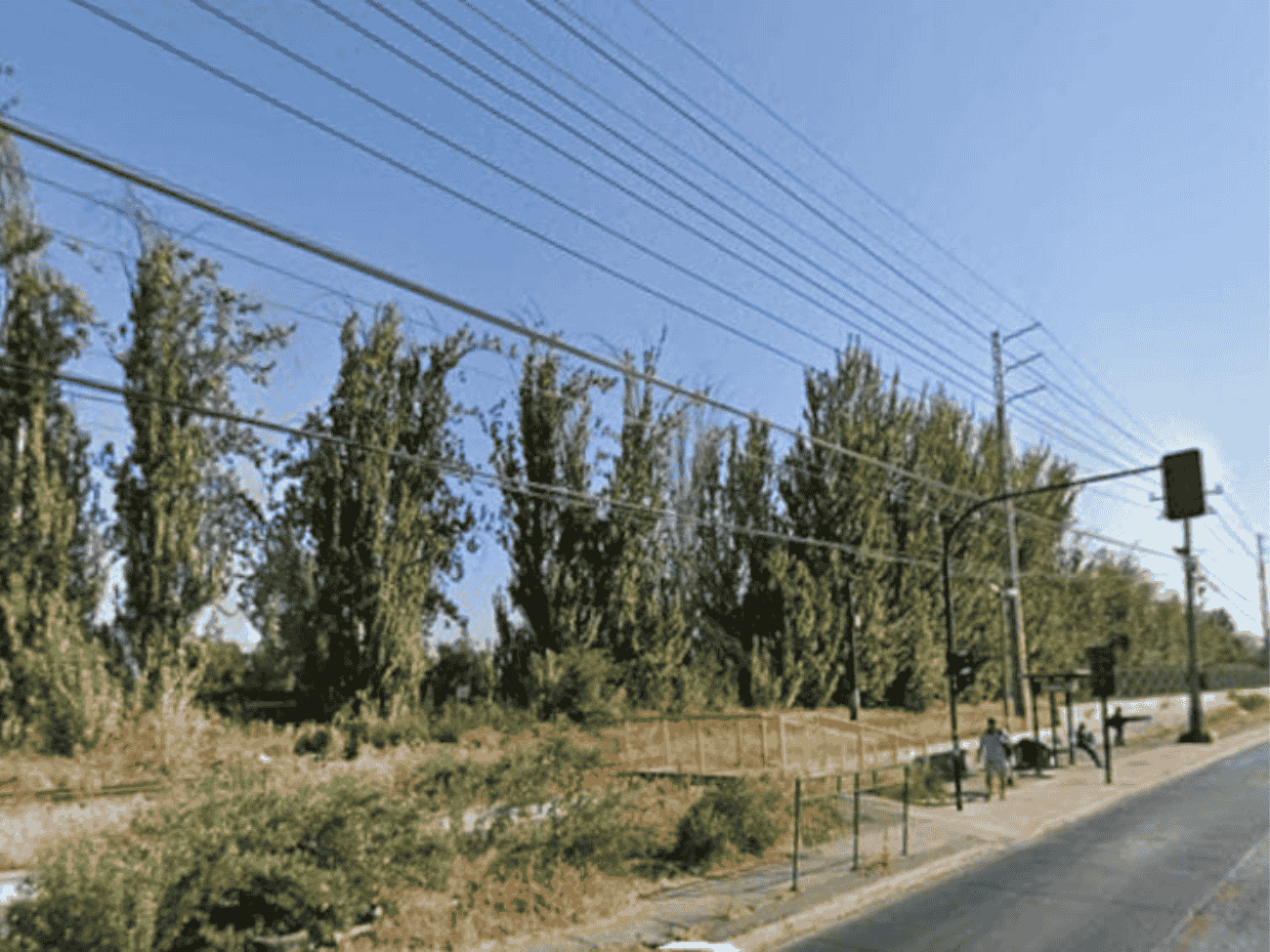 Seguirá la tala de árboles en Camino a Melipilla: Proyecto Melitren confirma nueva intervención frente a Villa El Abrazo