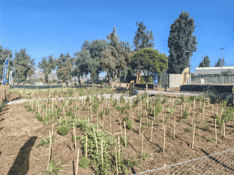 Humedal Urbano Río Mapocho El Trebal