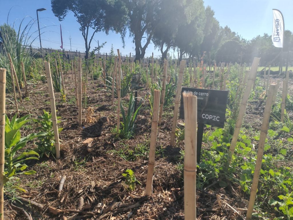 Autoridades firman alianza para conservación y restauración del Humedal Urbano Río Mapocho en Maipú 2 Humedal Urbano Río Mapocho
