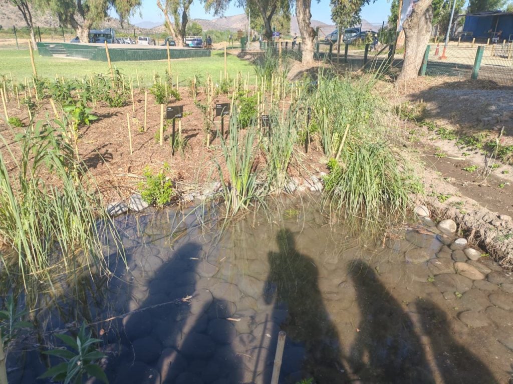 Autoridades firman alianza para conservación y restauración del Humedal Urbano Río Mapocho en Maipú 3 Humedal Urbano Río Mapocho