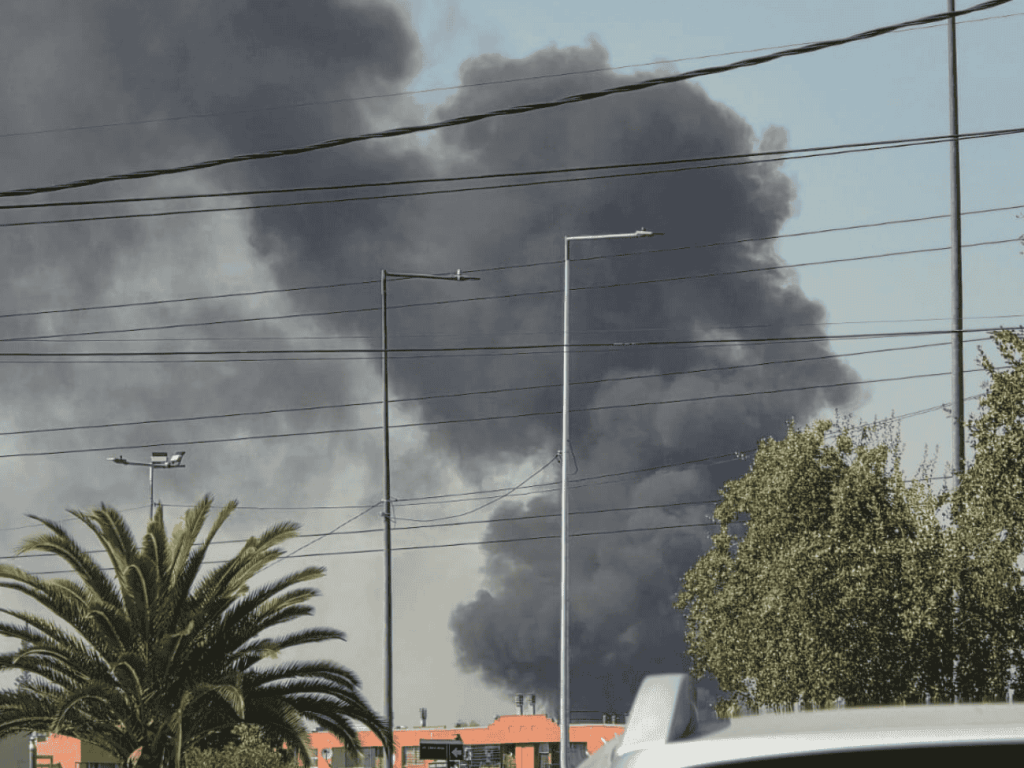 Incendio de pastizales en El Pajonal