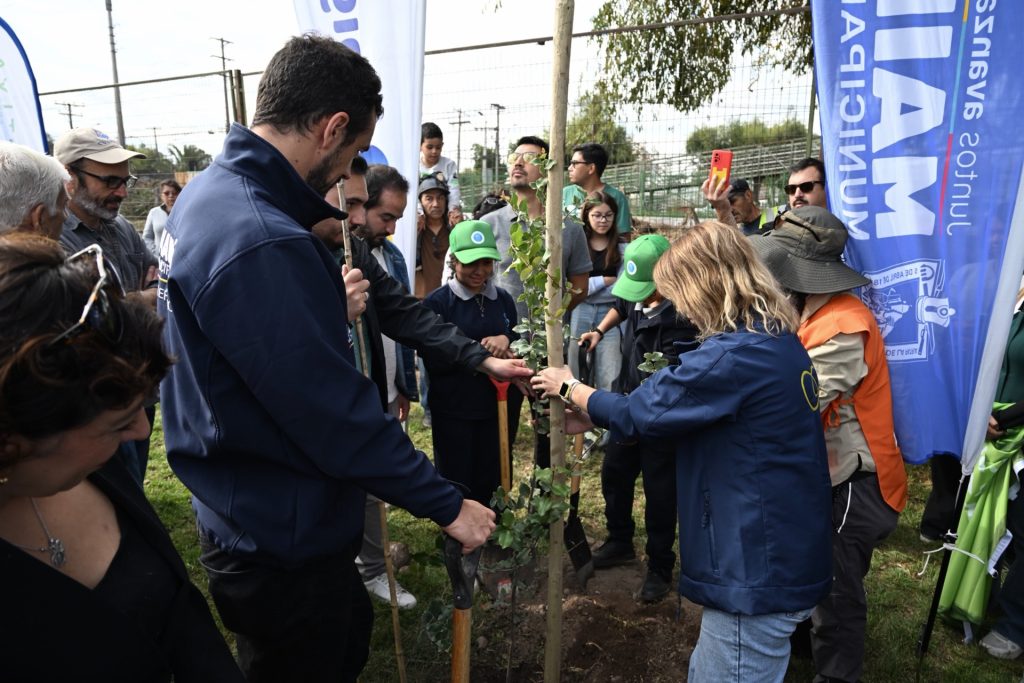 Vodanovic en la plantación de los primeros árboles que darán vida al parque ferrocarril 