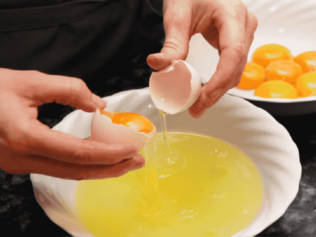 Salmonella