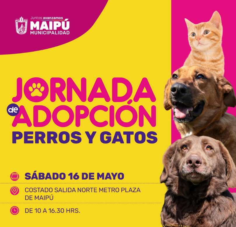 Jornada de adopción
