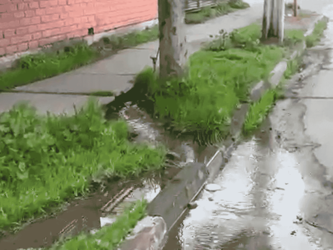 Dos meses sin respuesta: vecinos de calle Capri denuncian fuga de agua sin reparación