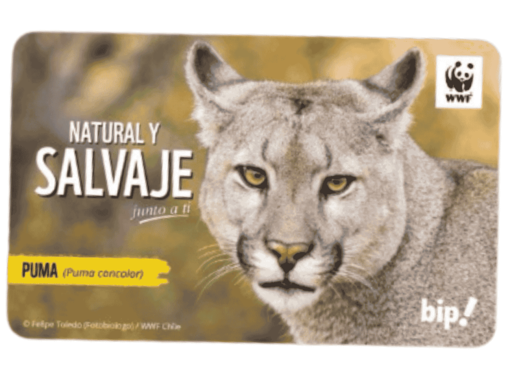 Nueva Bip! con la imagen del puma chileno estará disponible en la estación Plaza de Maipú desde este lunes