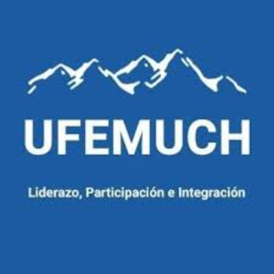 Foto de Directorio Nacional Unión de Funcionarios Municipales (UFEMUCH)