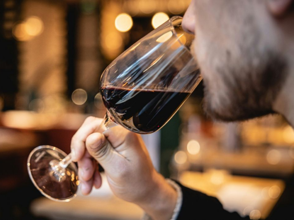 Día Nacional del Vino: la fecha que conmemora el valor patrimonial de la bebida y el auge del Carménère como símbolo de Chile
